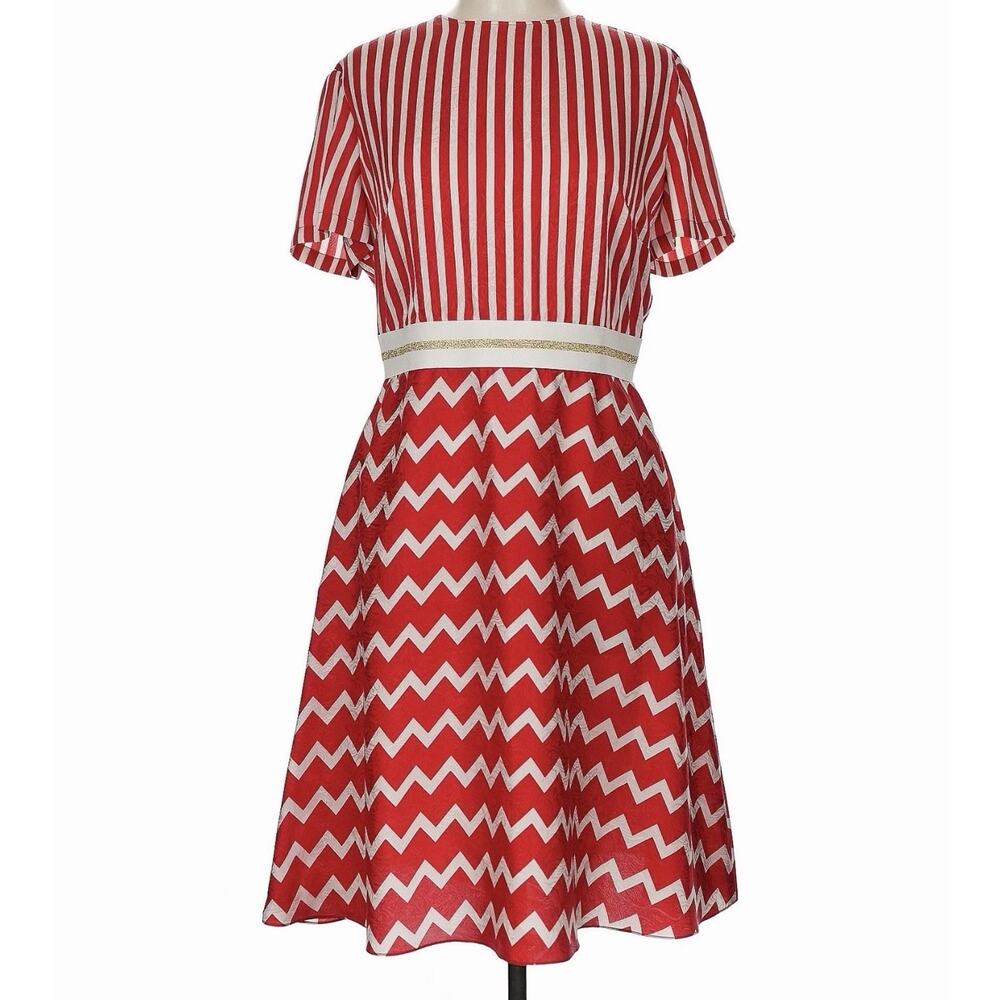 Stella McCartney Resort 2014 Red Stripe Chevron Moire Jacquard Dress Rare US 10 - Picture 2 of 15